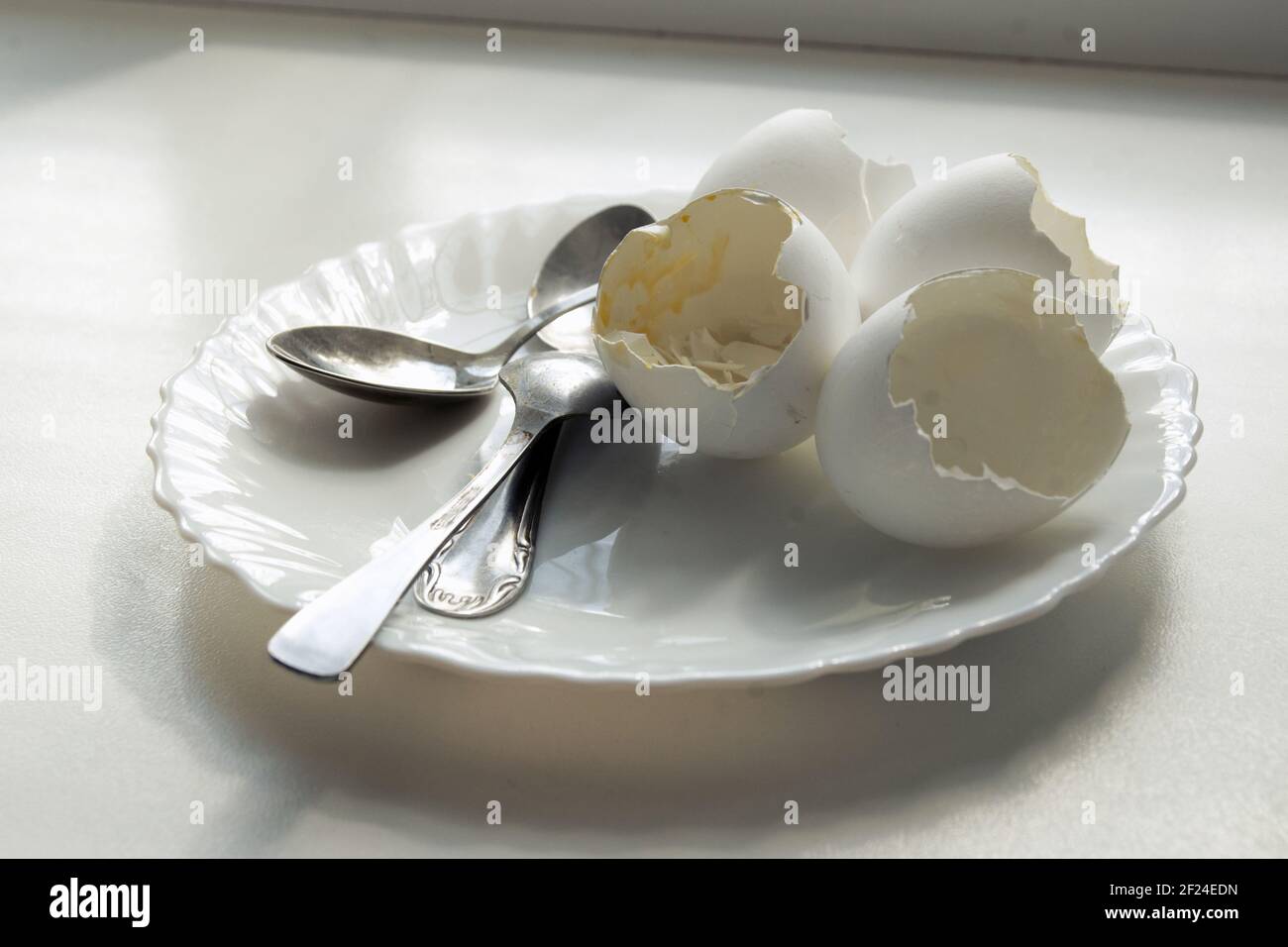 ending of morning meal of soft-boiled eggs in elegant plate with teaspoons, under the sun from window Stock Photo