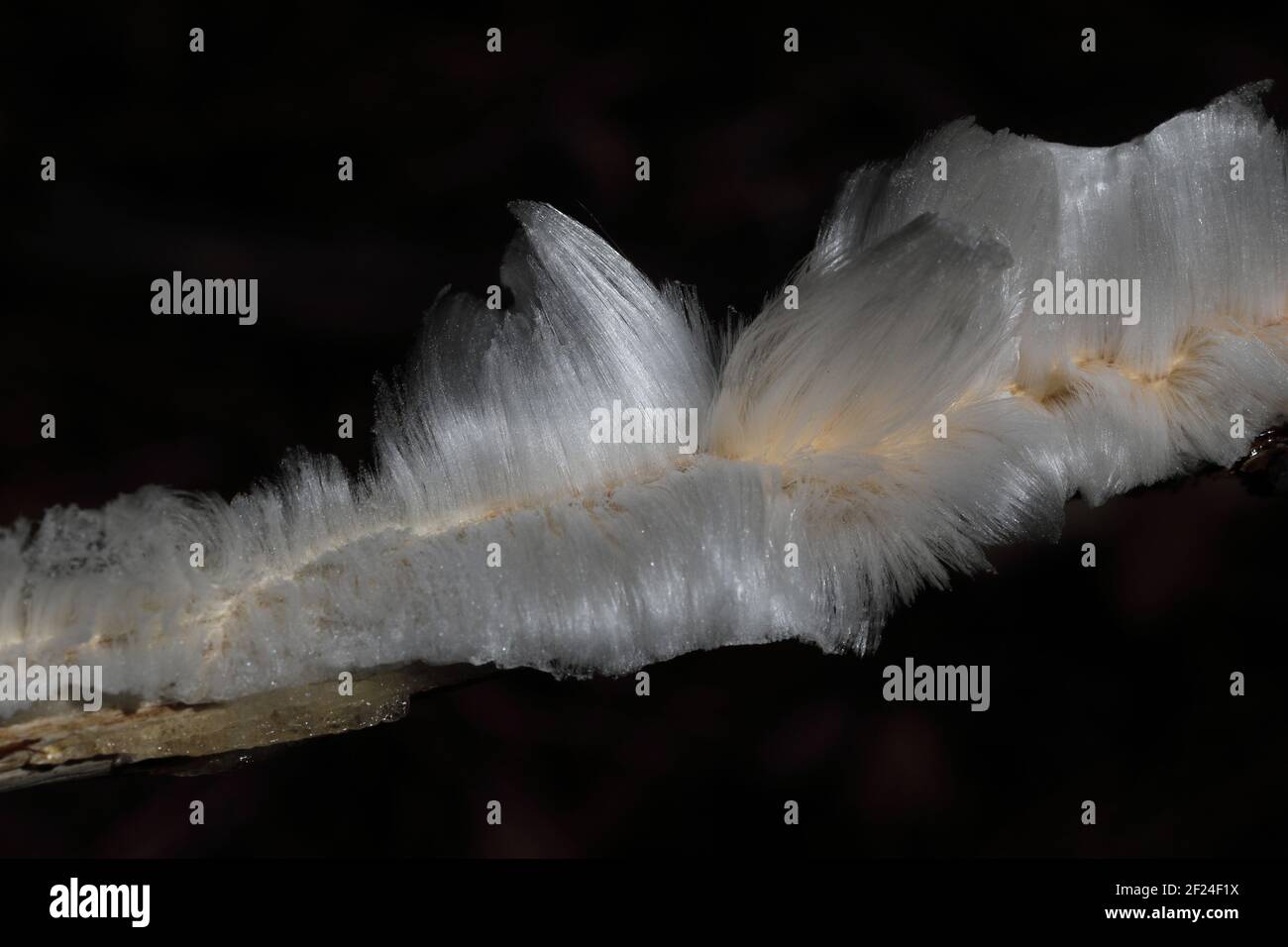 Hair ice hires stock photography and images Alamy