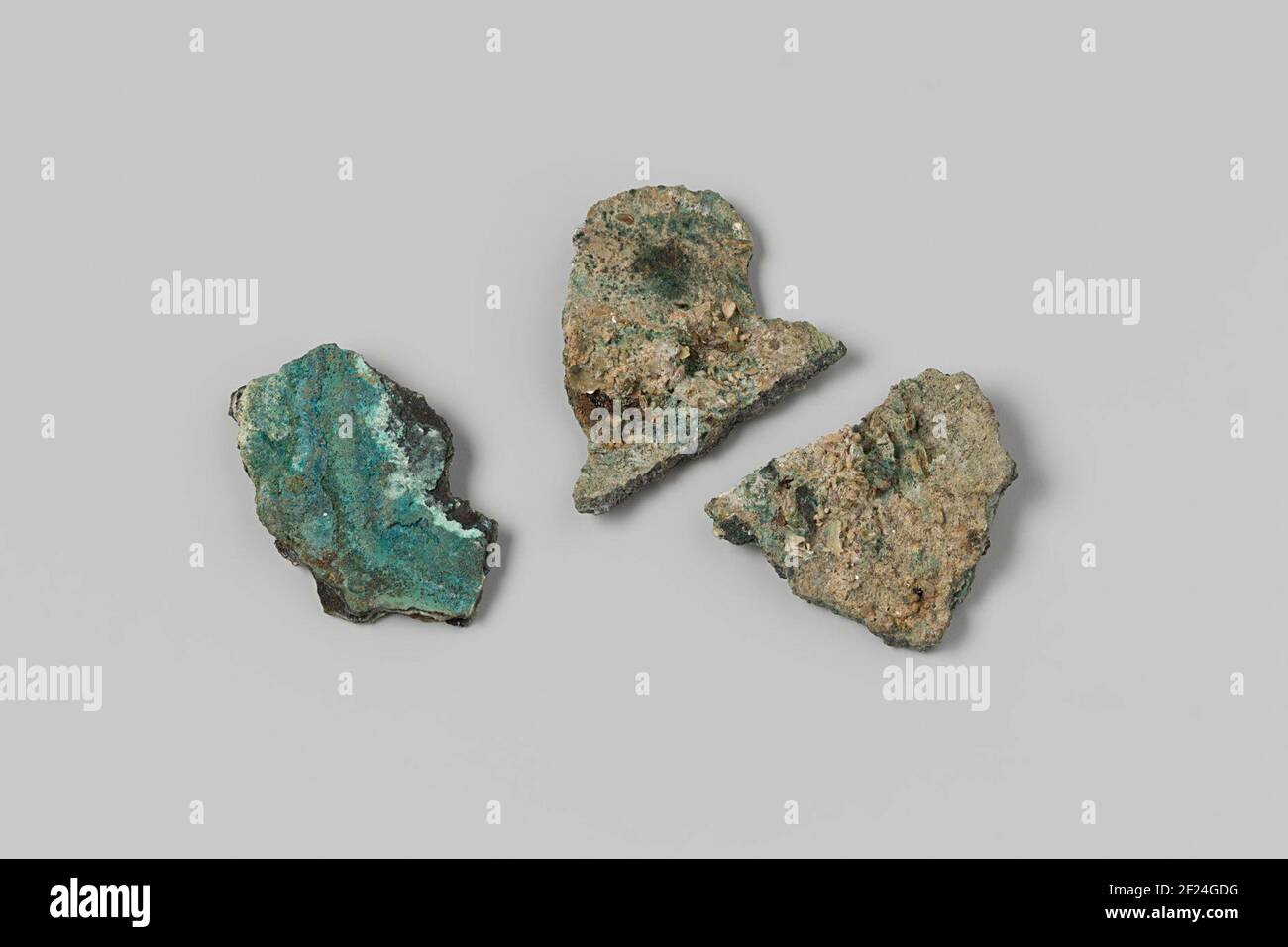 Marine treasures of india hi-res stock photography and images - Alamy