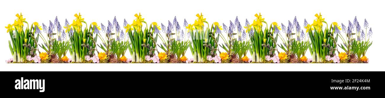 Green grass and spring flowers isolated on white background Stock Photo ...