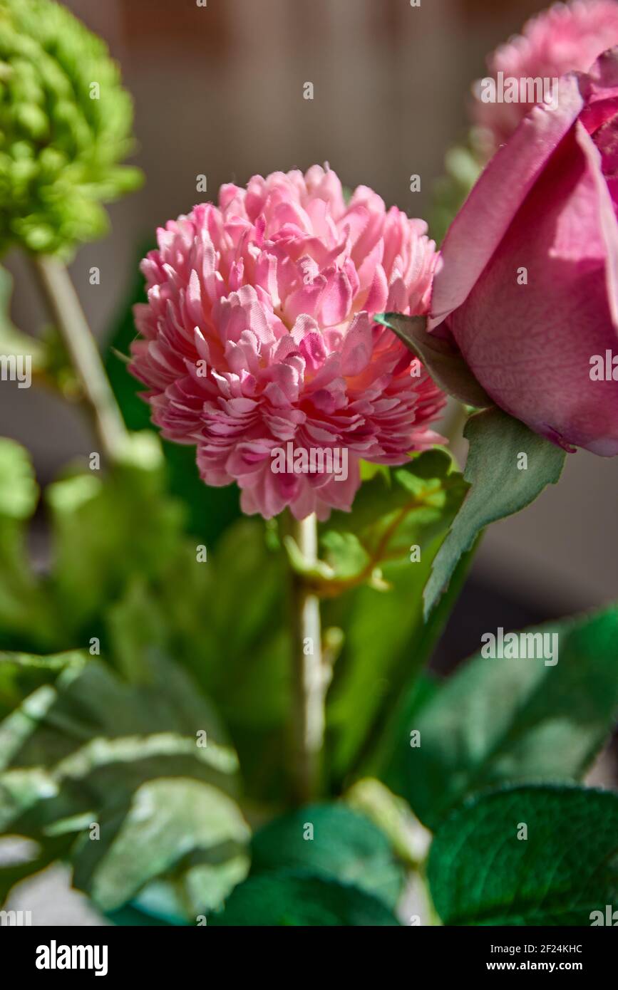 Artificial roses in detail, perfect replicas of natural roses Stock