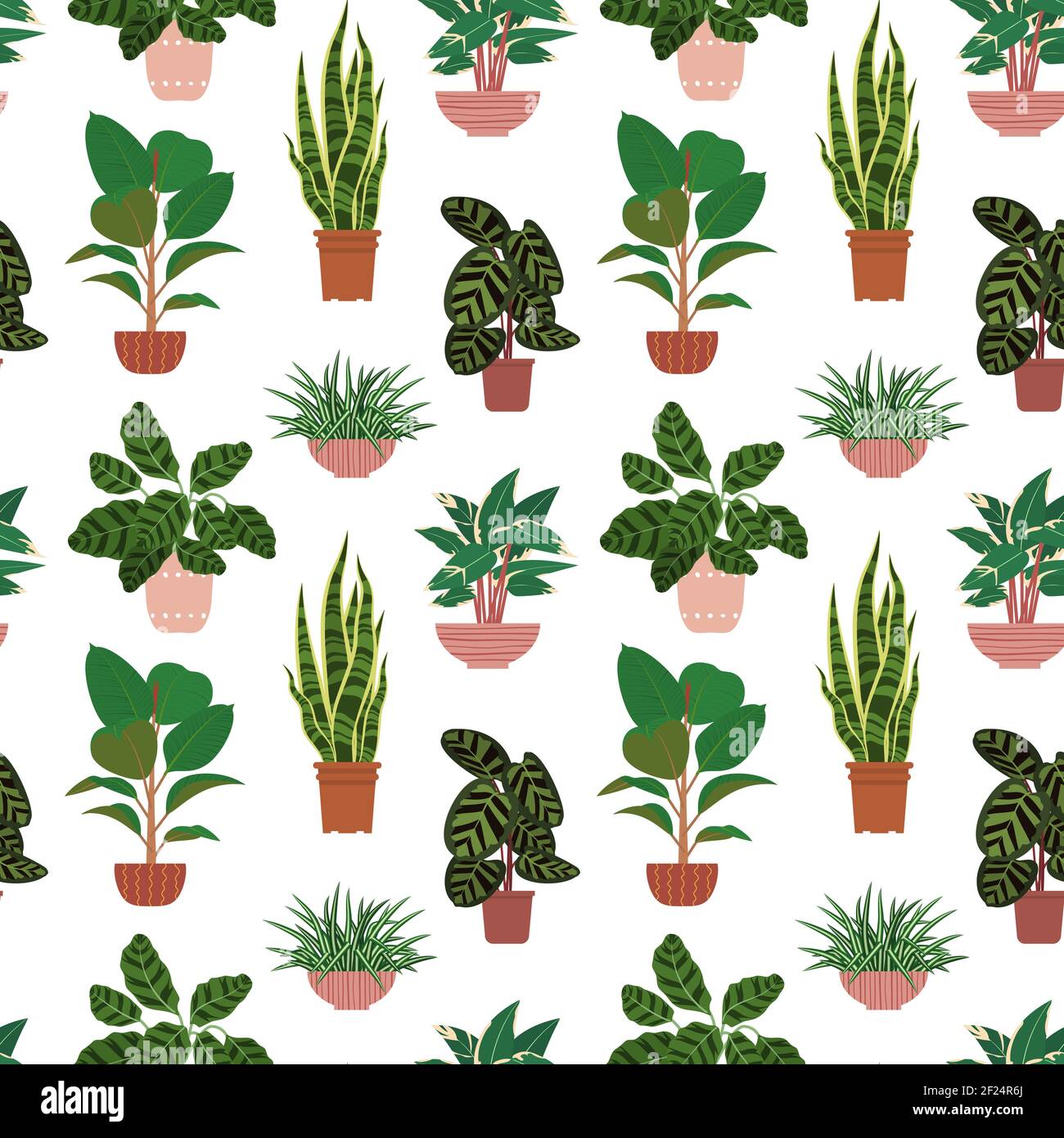 Seamless pattern from different potted house plants in colorful flower ...