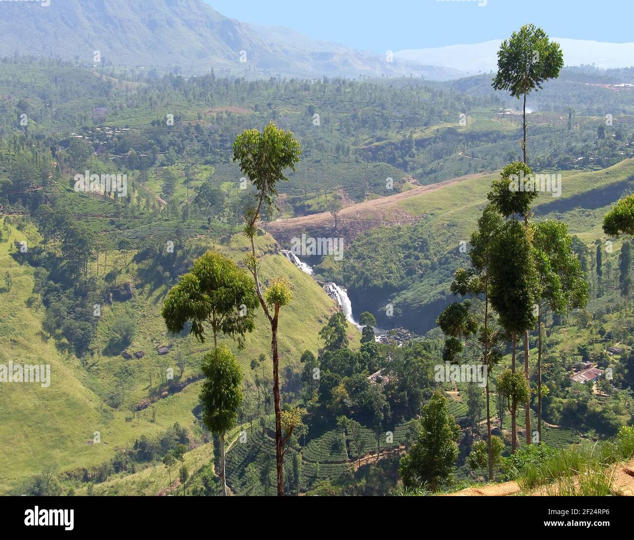 The island Sri Lanka (Ceylon), typical landscape of the central part of ...