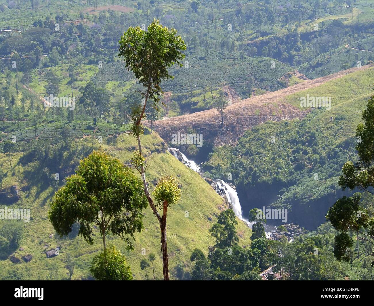 The island Sri Lanka (Ceylon), typical landscape of the central part of ...