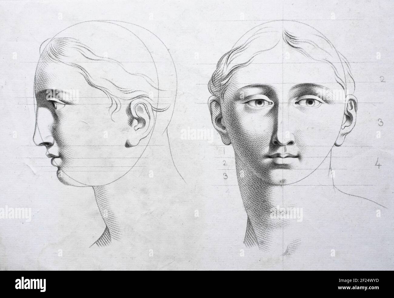 how to draw female face side view