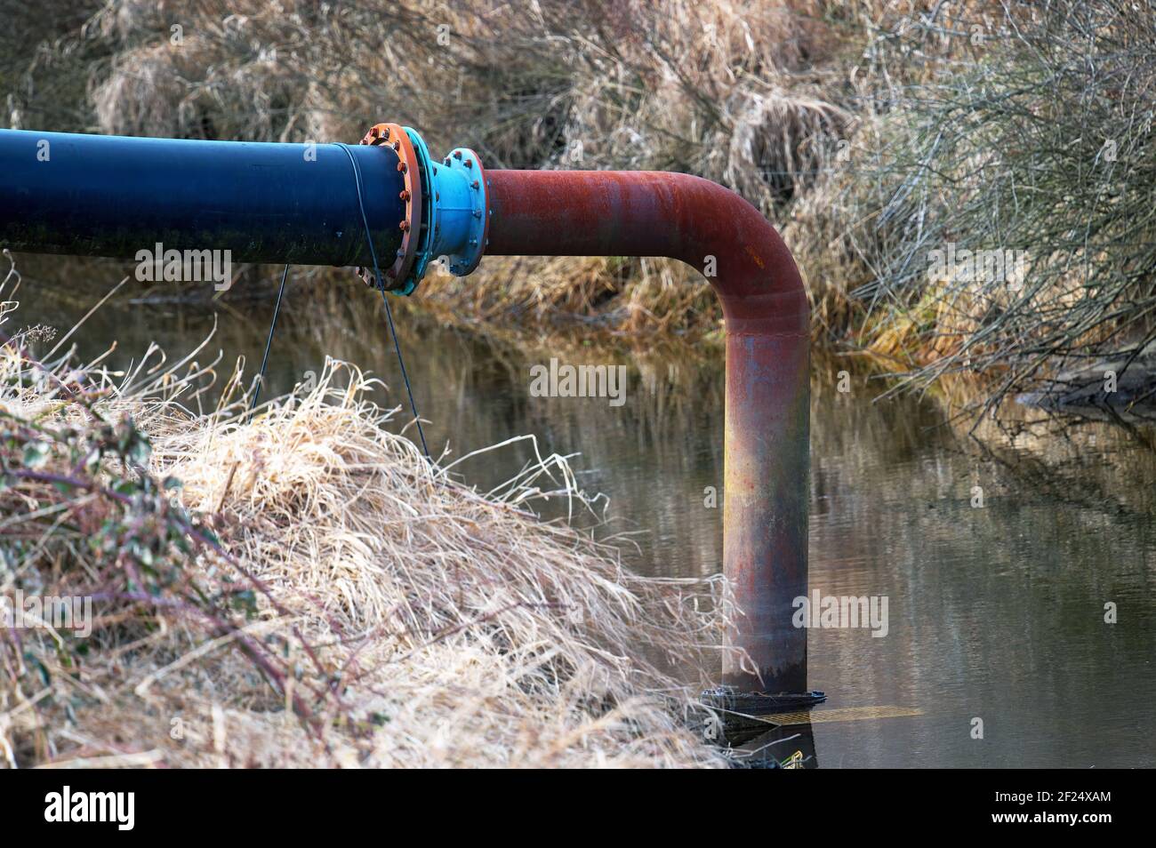 Irrigation pipe for cranberry fields. Stock Photo