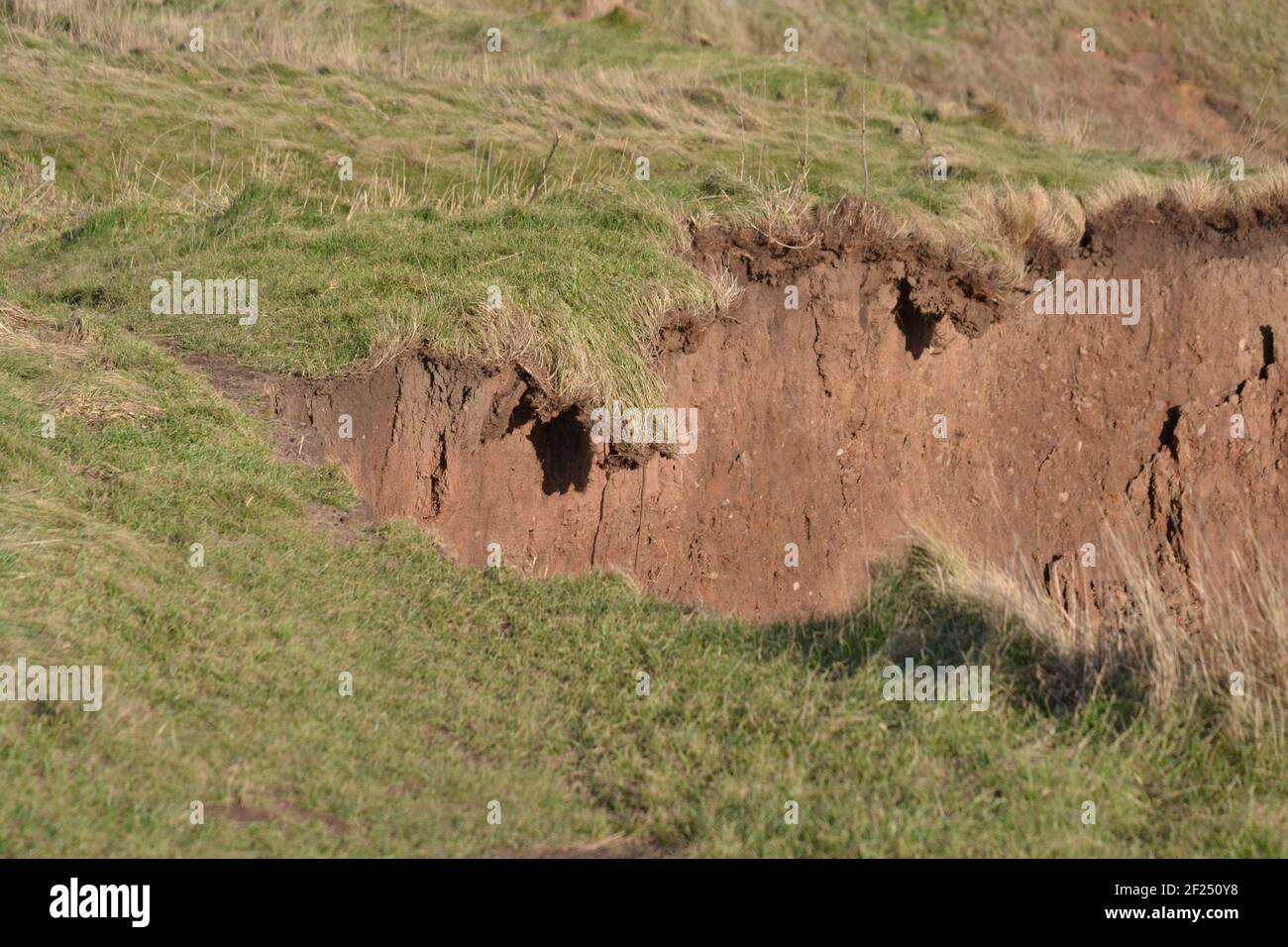 Filey Bay Cliff Edge - Grass And Mud Landslip - North East Coastal Land Erosion - Coastal Dangers - Climate Change - North Yorkshire UK Stock Photo