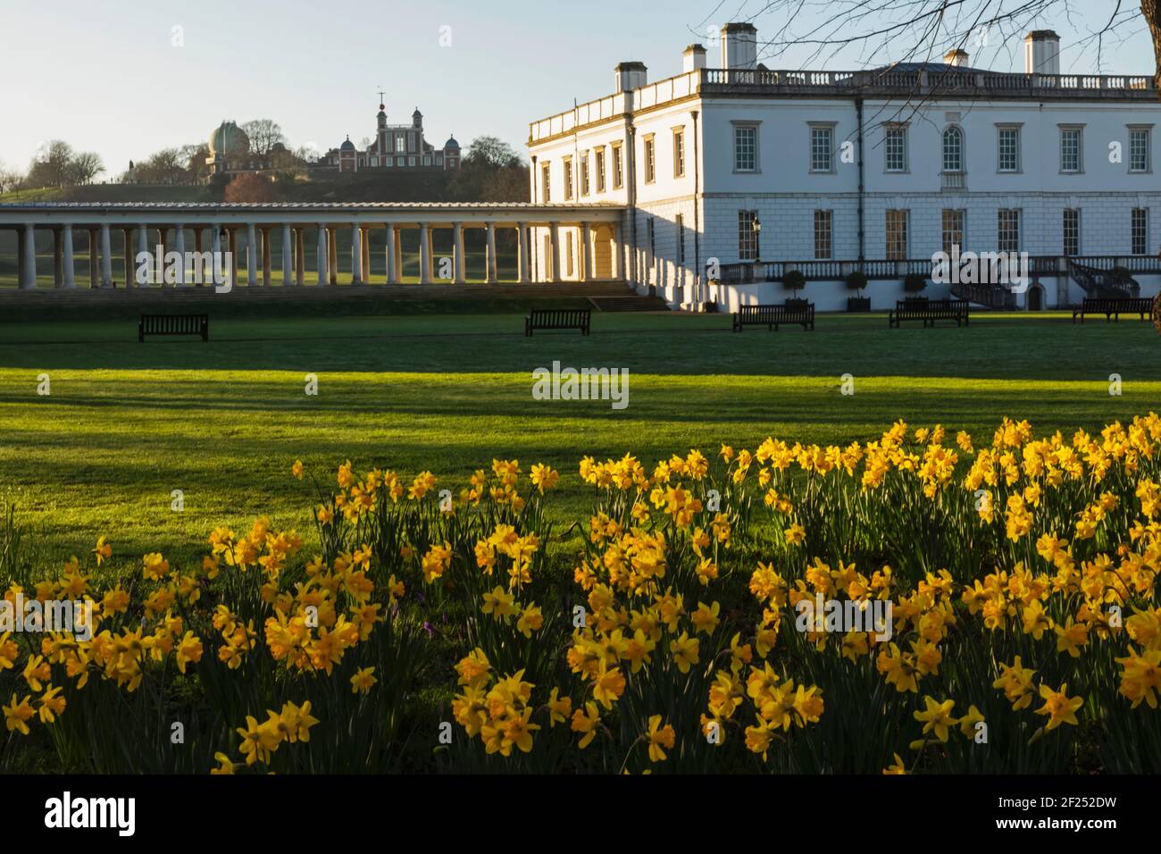 England, London, Greenwich, Greenwich Park, Daffodils and The Queens