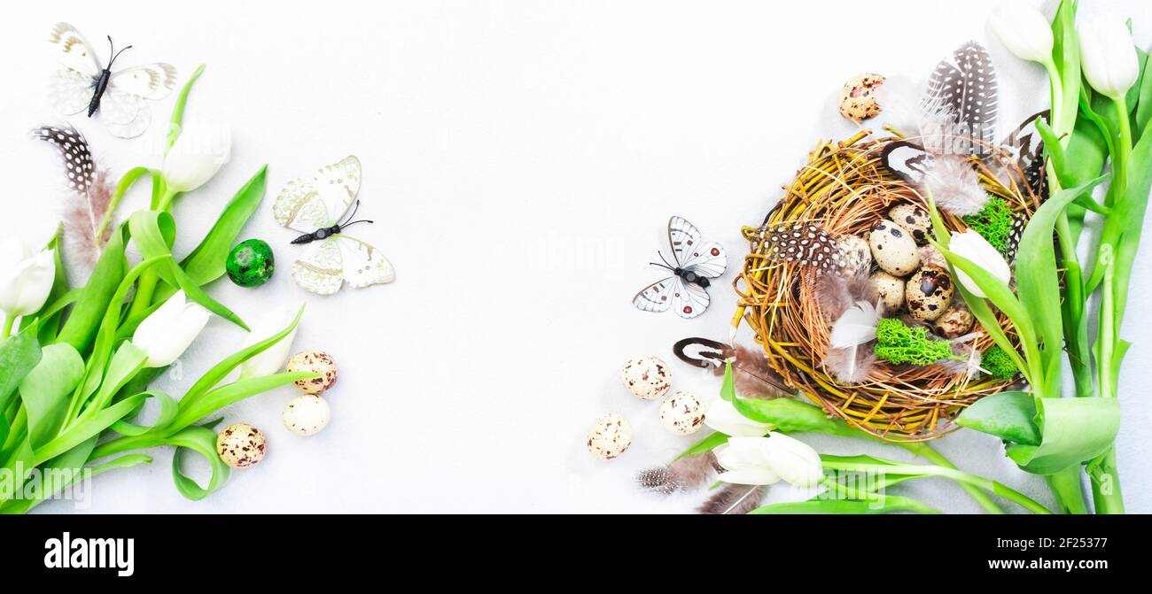 Spring Easter holiday white background with tulips, quail eggs ...