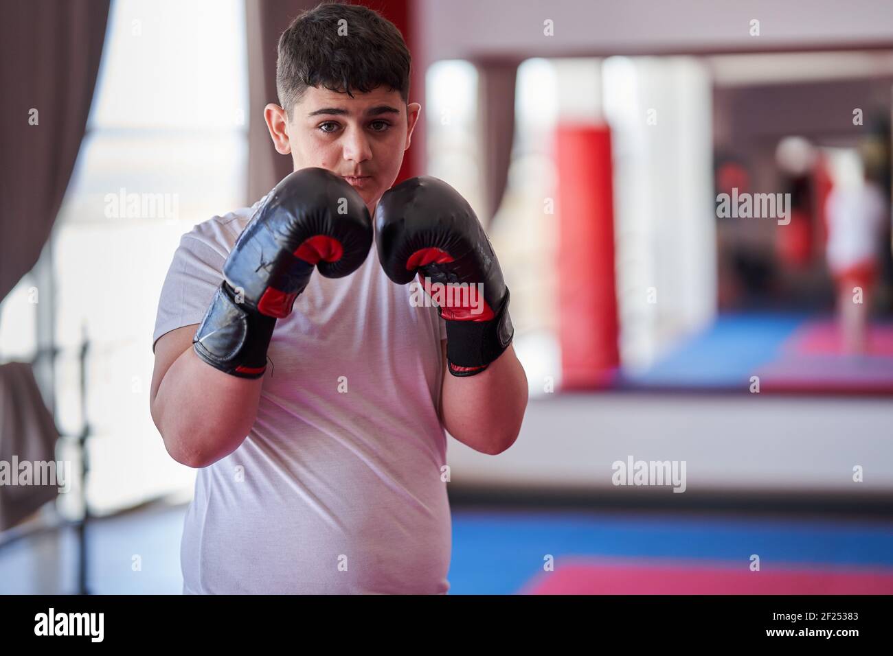 Confident overweight boxer with gloves posing in the gym Stock Photo