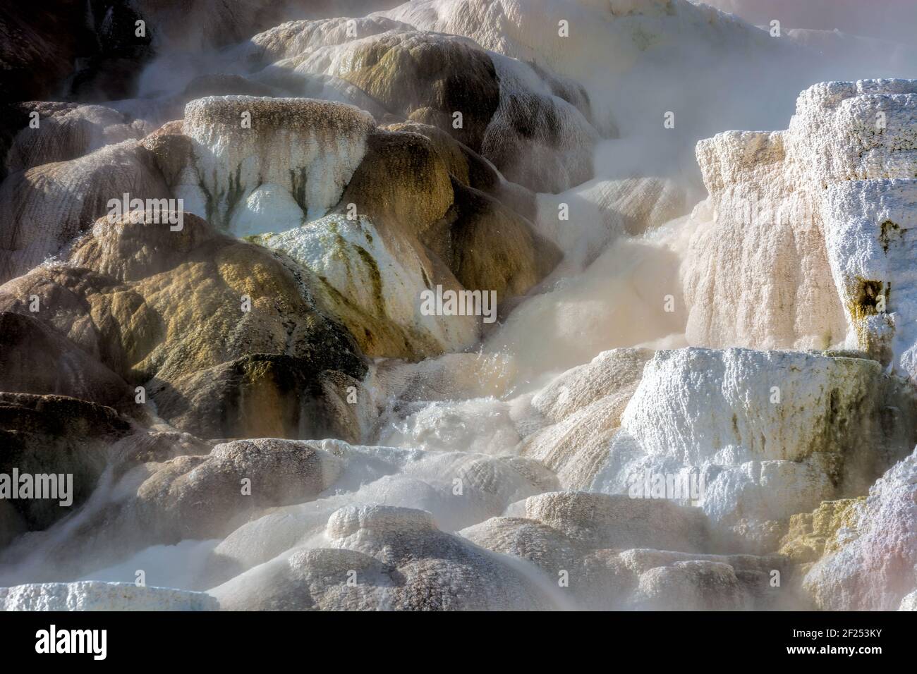 Mammoth Hot Springs Stock Photo Alamy   Mammoth Hot Springs 2F253KY 