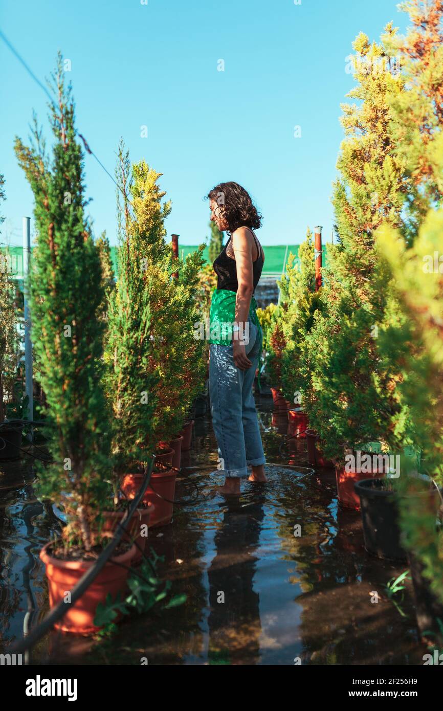 Woman gardener checking out the cypress trees in the plant nursery Stock Photo