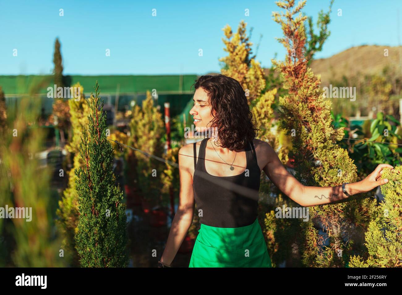 Woman gardener checking out the cypress trees in the plant nursery Stock Photo