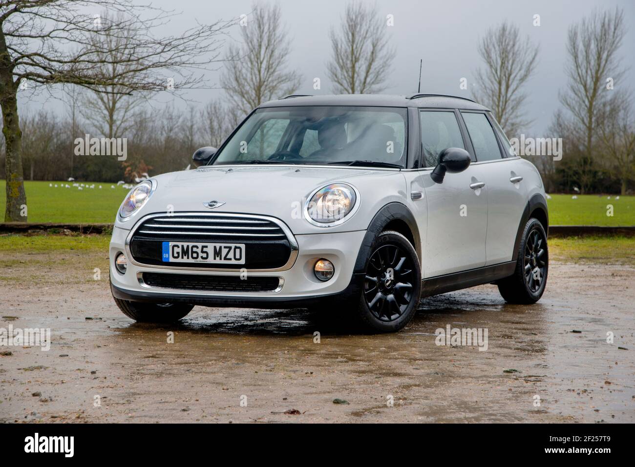 Mini hatch hi-res stock photography and images - Alamy