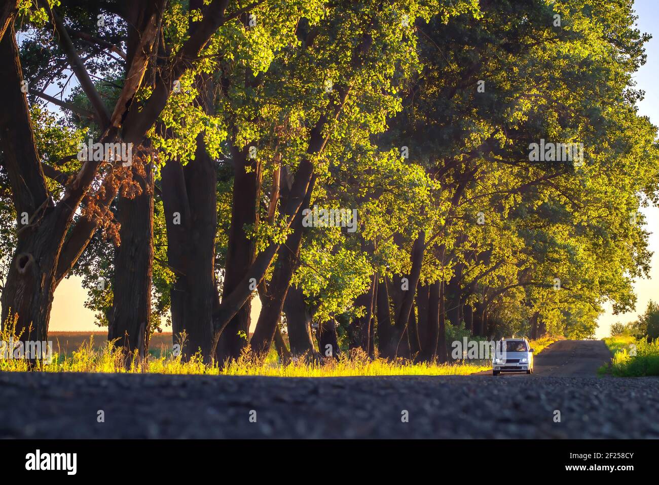 Driving along motorway hi-res stock photography and images - Alamy