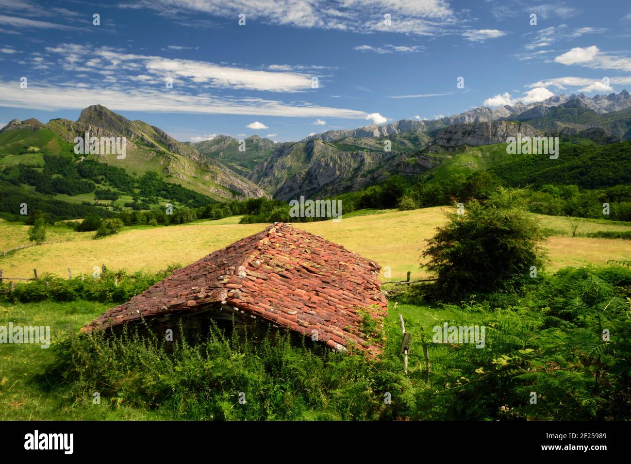 Ponga Natural Park (Asturias - Spain) Stock Photo