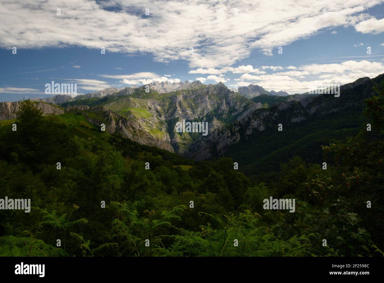 Ponga Natural Park (Asturias - Spain) Stock Photo