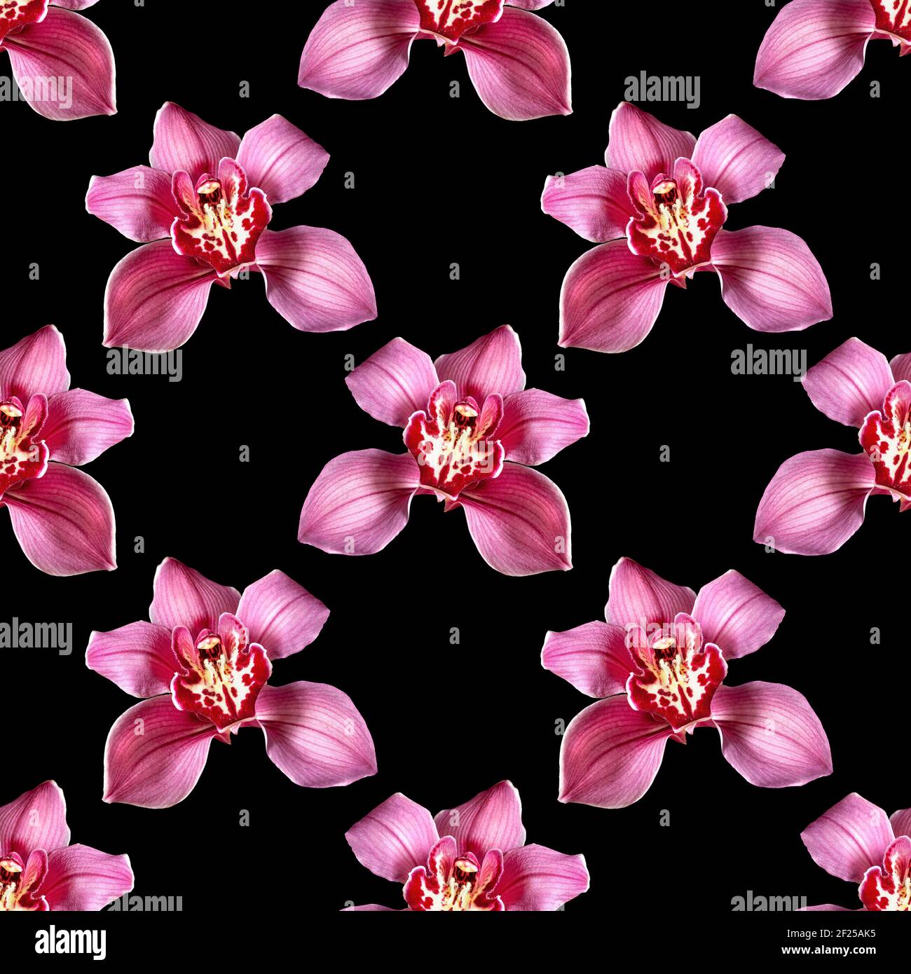 Seamless image with cymbidium orchid isolated on black background Stock Photo