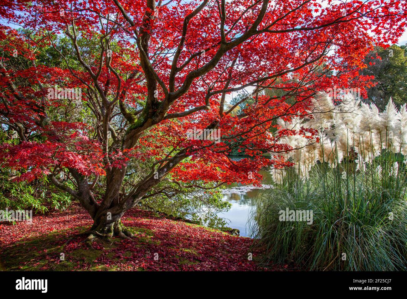 Sheffield park national trust hires stock photography and images Alamy