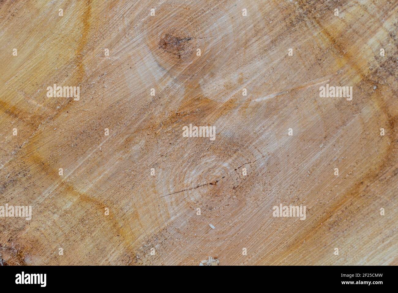 Abstract Rough Surface of Tree Rings Stock Photo