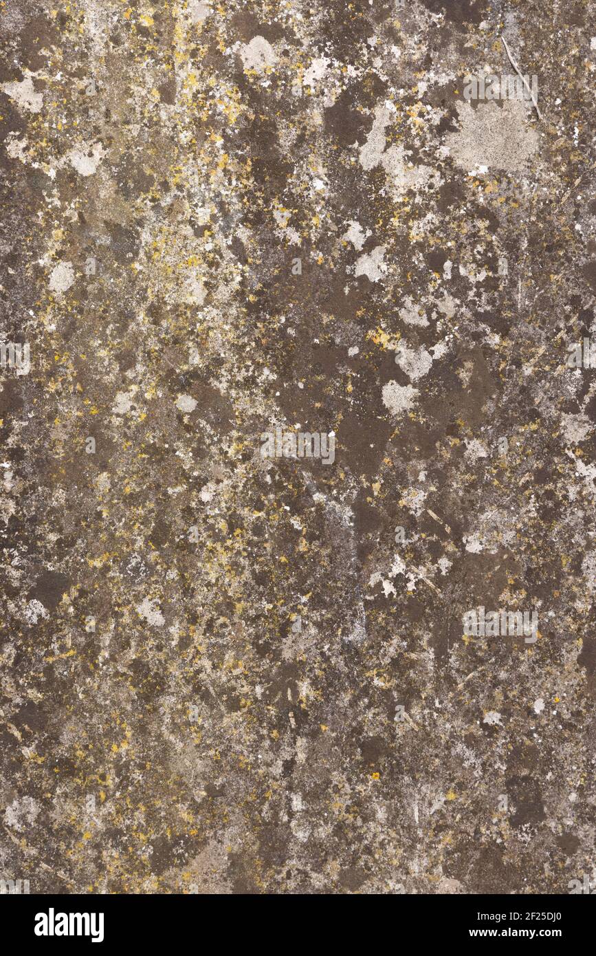 Old flat weathered stone with lichen. Background grunge texture overlay Stock Photo