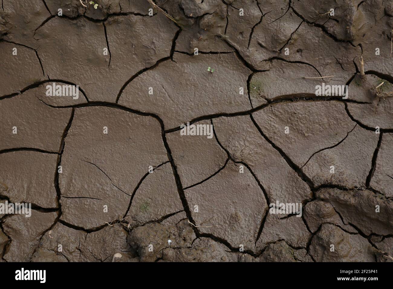 Dark Dry and Cracked Soil Background Stock Photo