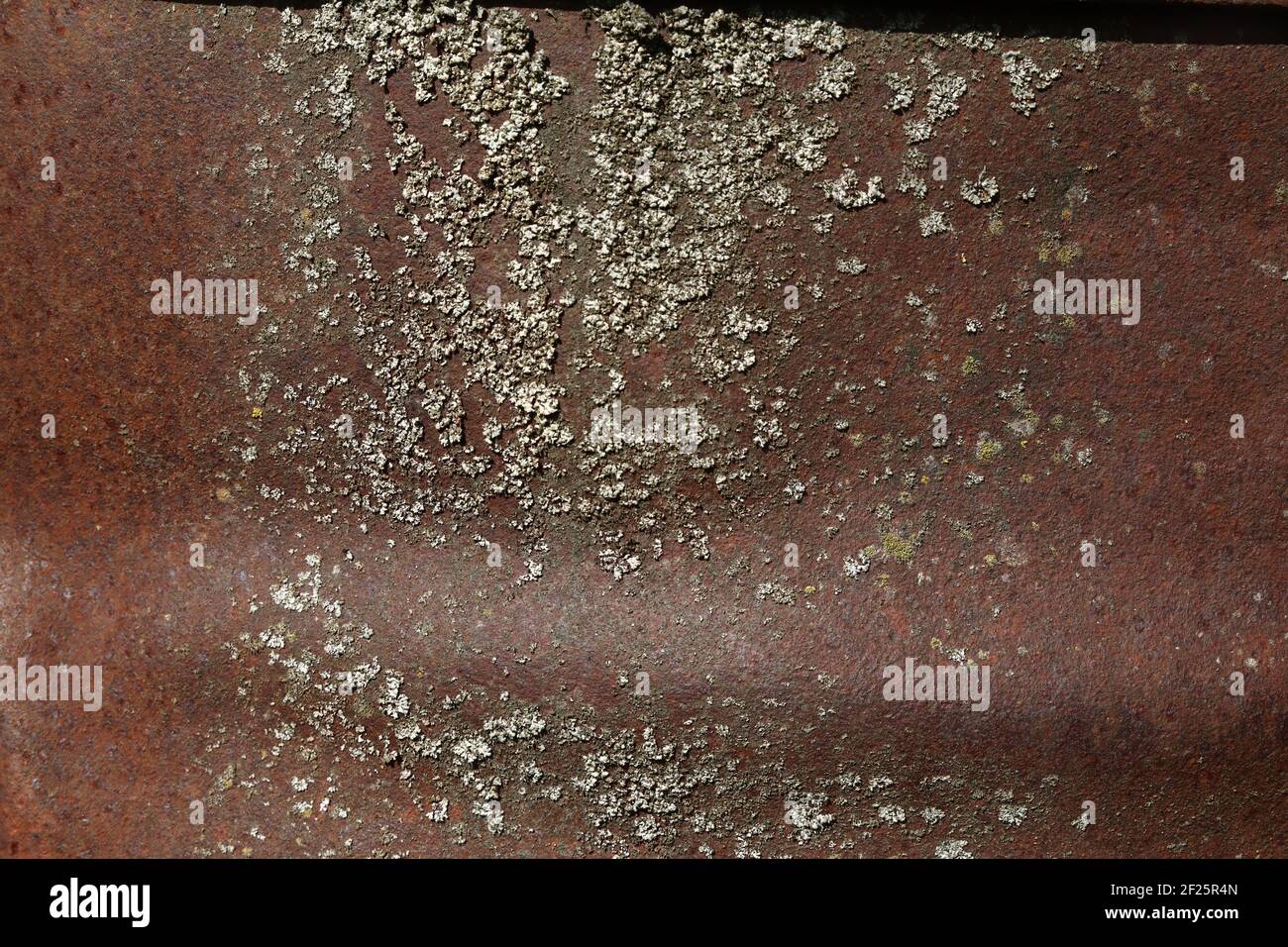 Red Rusty Dented Metal Background Stock Photo