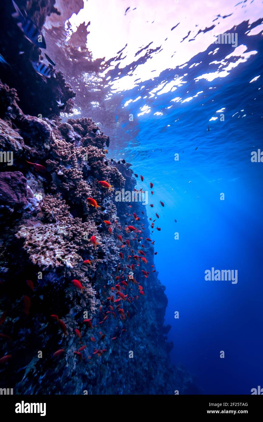 The deep blue water of the red sea. Stock Photo