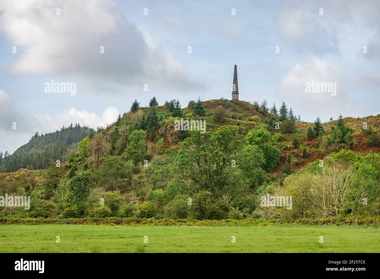 The Alexander Murray Memorial Tower, Dumfries and Galloway, Scotland Stock Photo