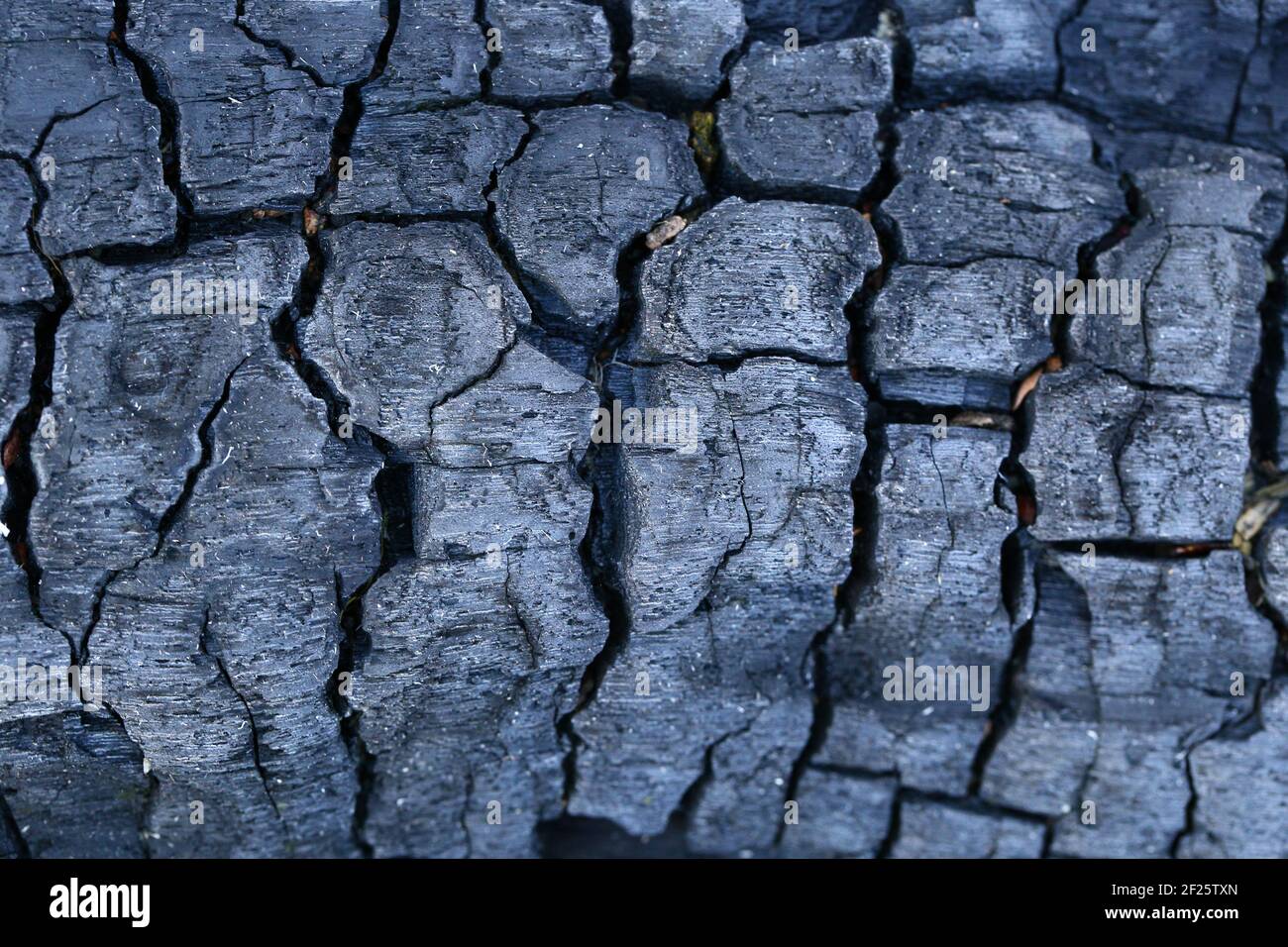 Burned Black Wood Close Up Background Stock Photo