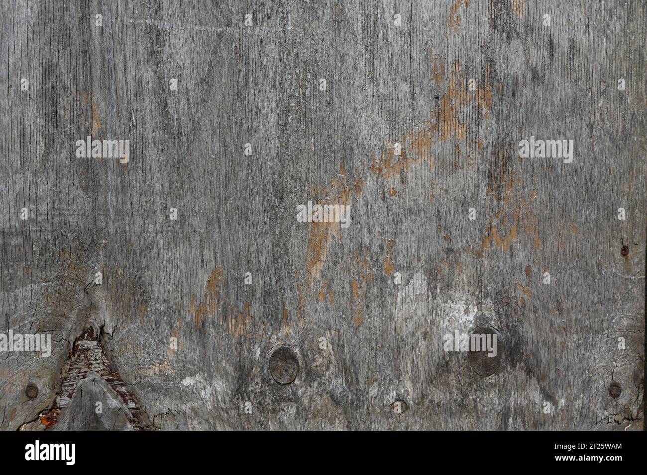 Old Gray Damaged Wooden Background Stock Photo