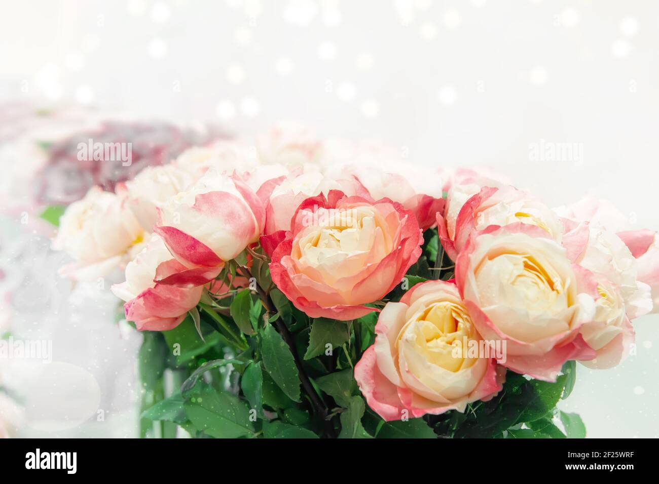 Two-tone romantic roses. Floral background with soft focus. A bouquet of roses on the counter in a flower shop. copy space. Stock Photo