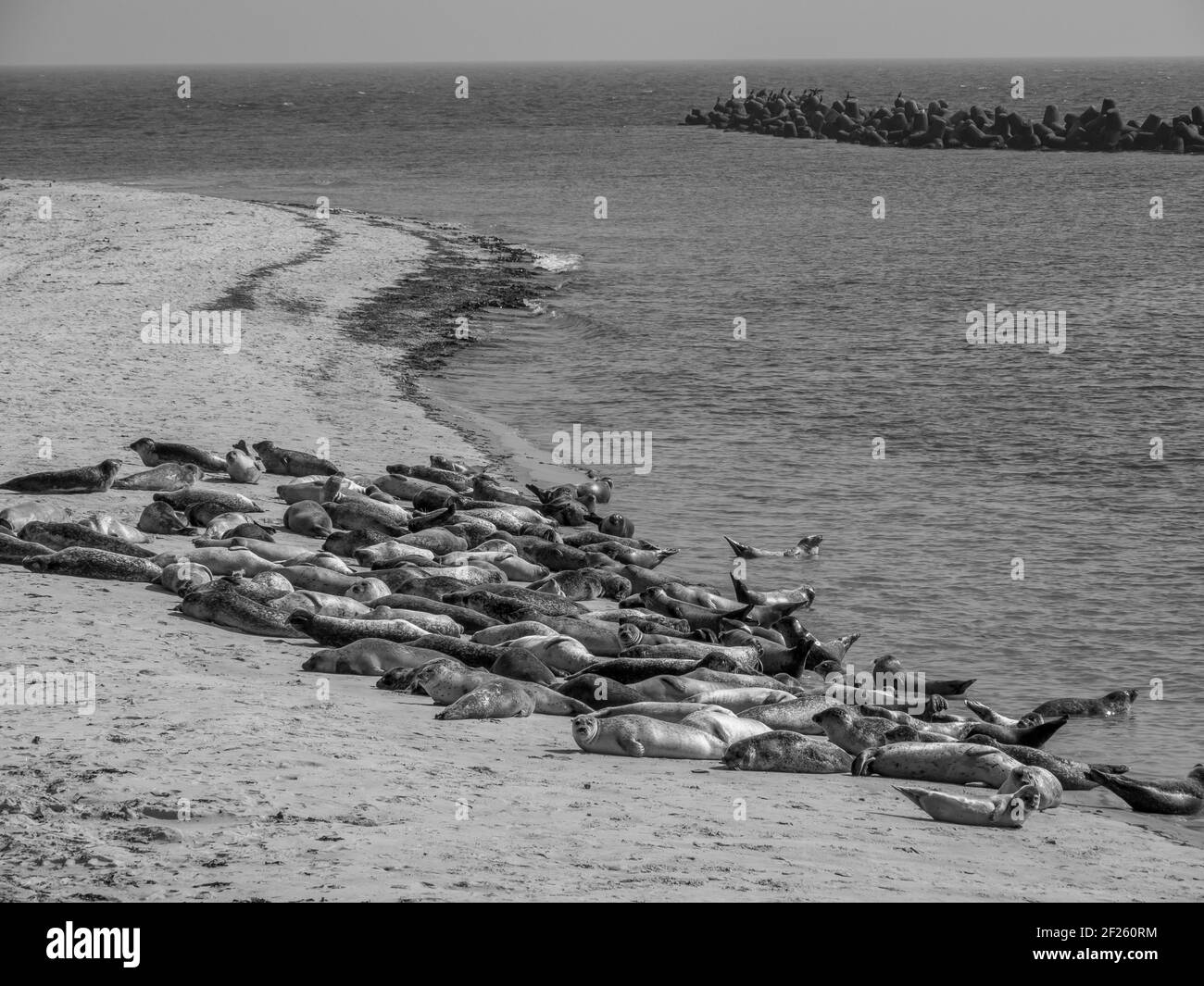 the german island of helgoland Stock Photo Alamy