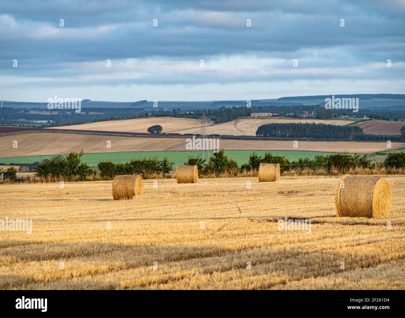 Farmland after Harvest, Scottish Border, Scotland Stock Photo