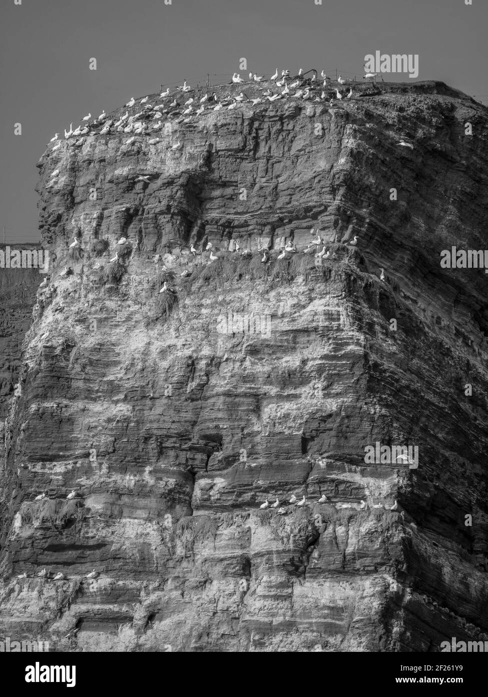 the german island of helgoland Stock Photo Alamy