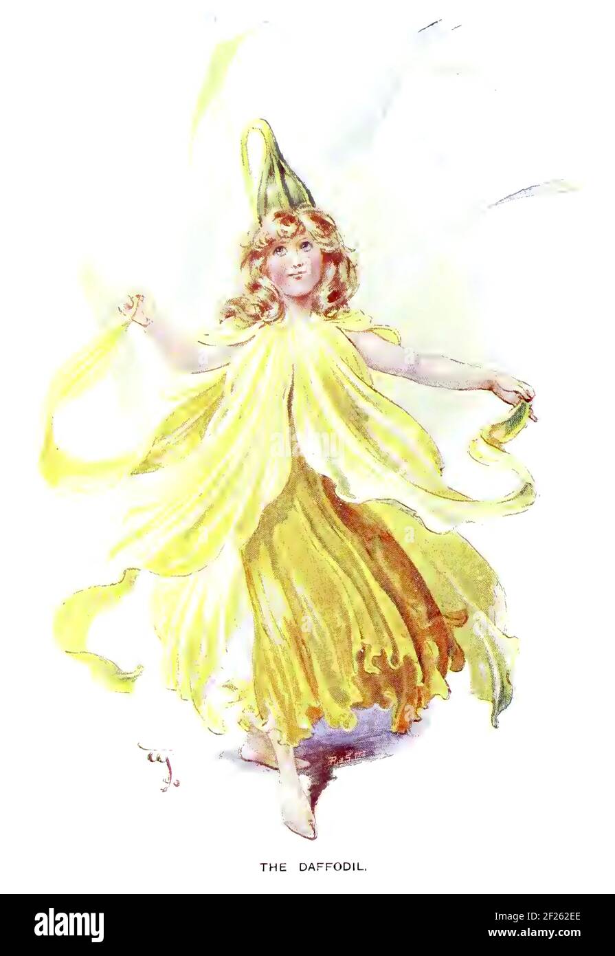 Myth daffodil Cut Out Stock Images & Pictures Alamy