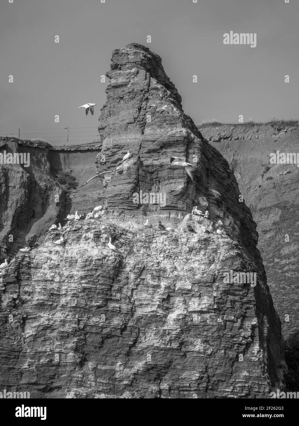 the german island of helgoland Stock Photo Alamy