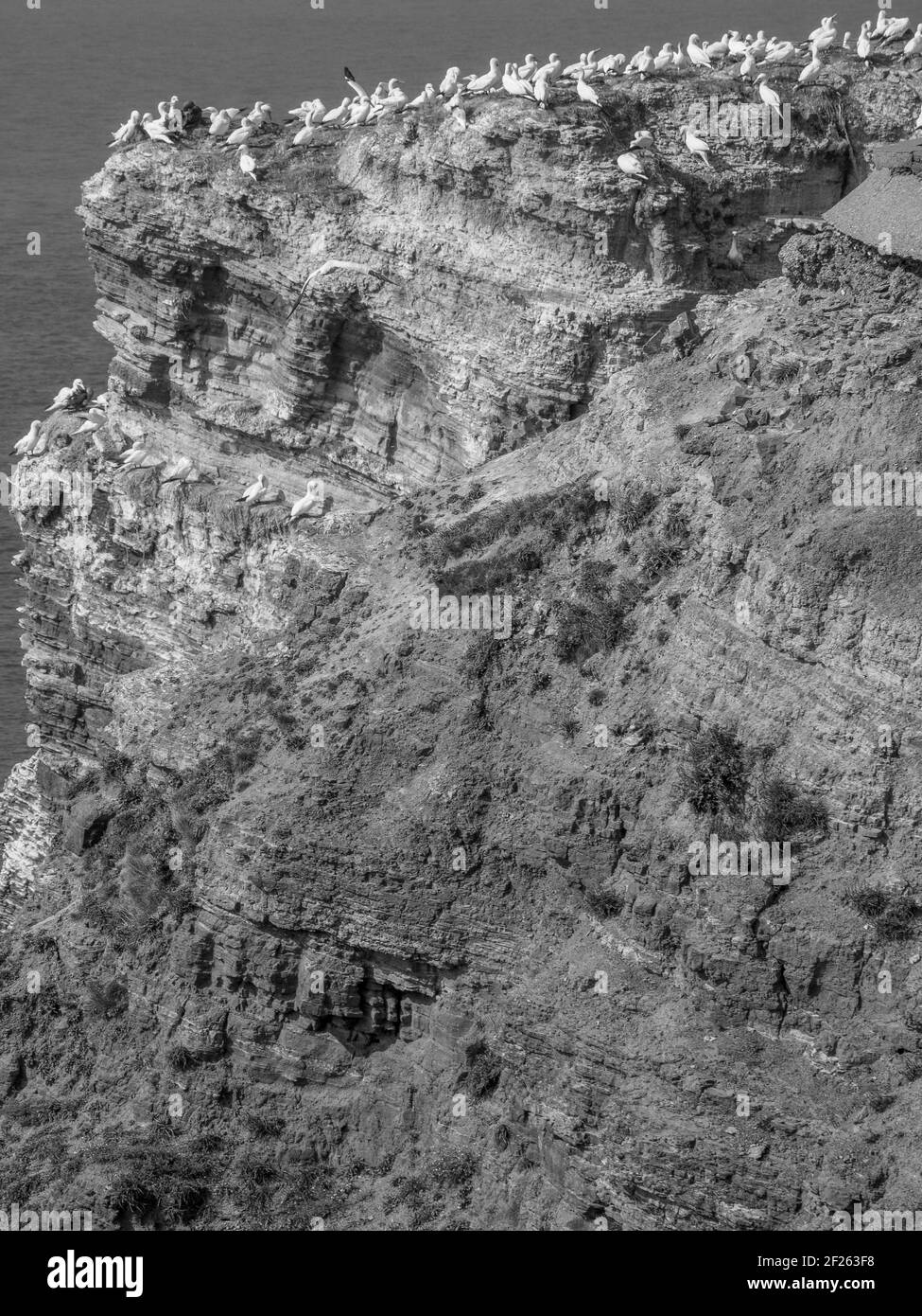 the german island of helgoland Stock Photo Alamy