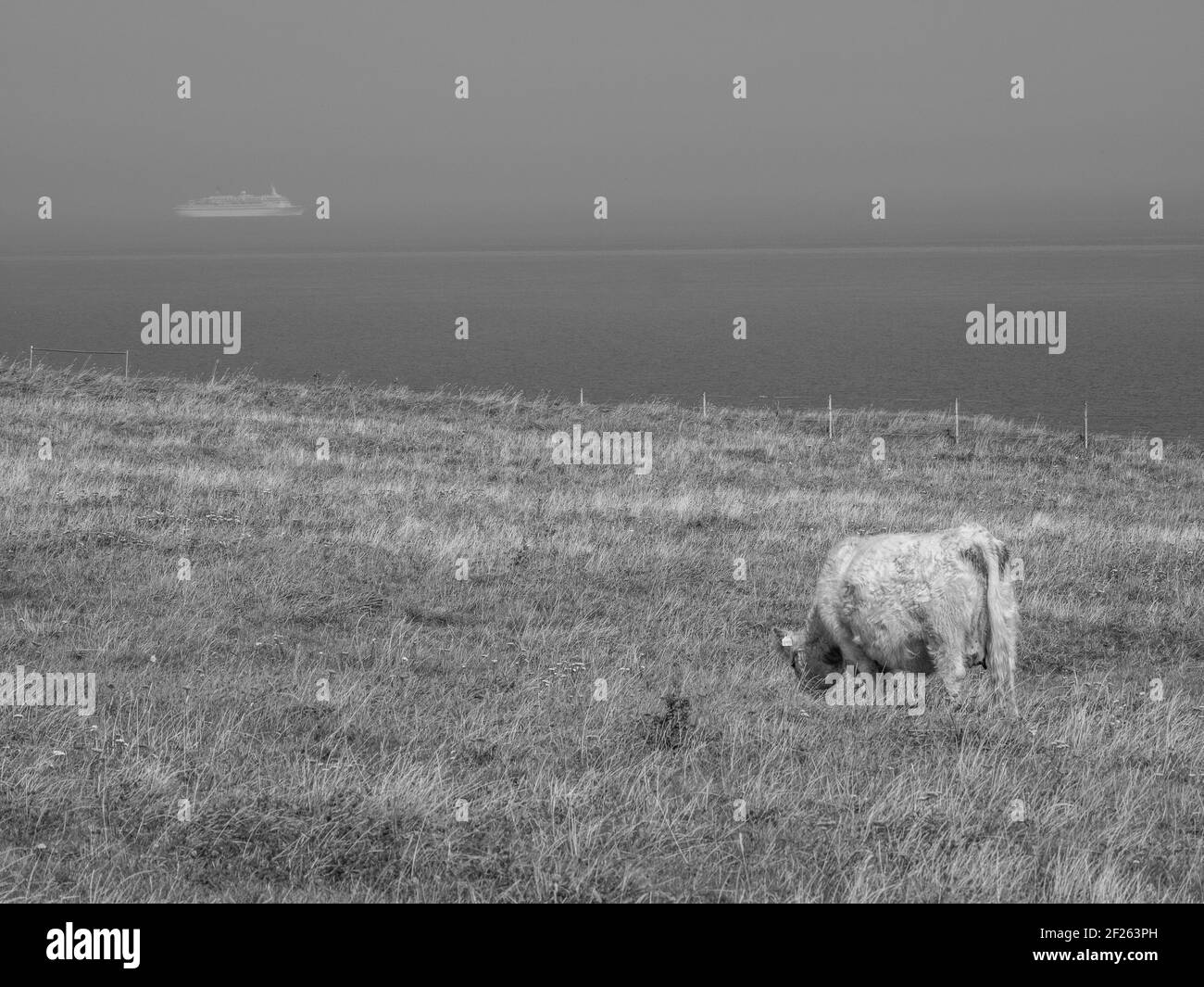 the german island of helgoland Stock Photo Alamy