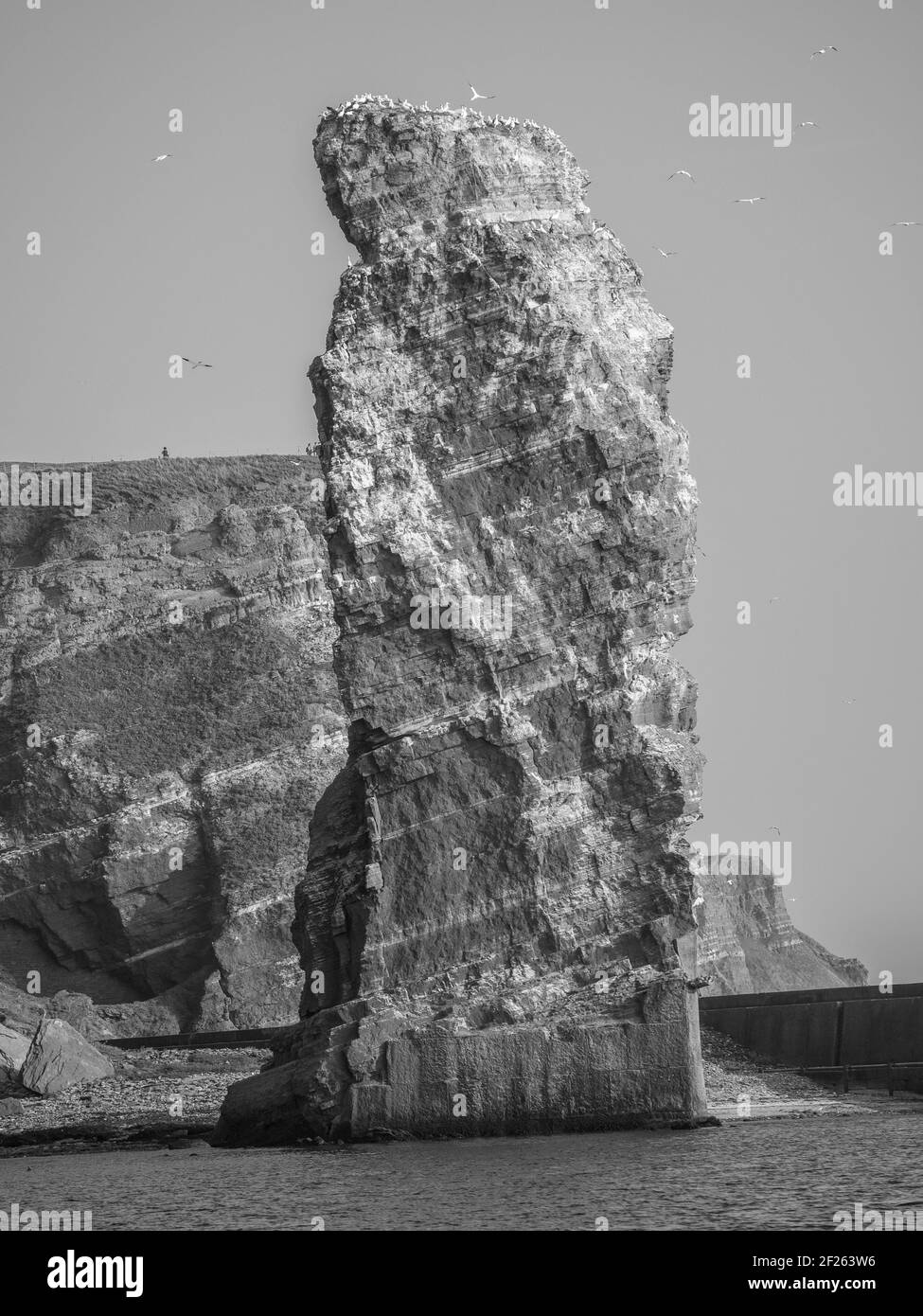 the german island of helgoland Stock Photo Alamy