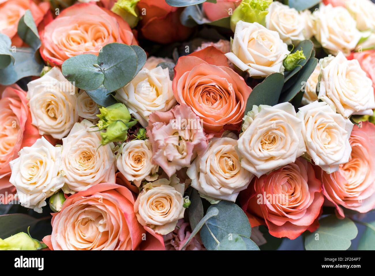 Orange And White Roses