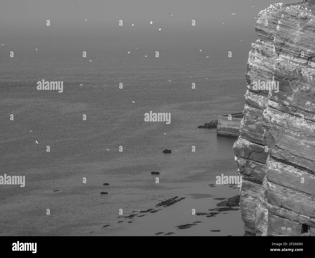 the german island of helgoland Stock Photo Alamy