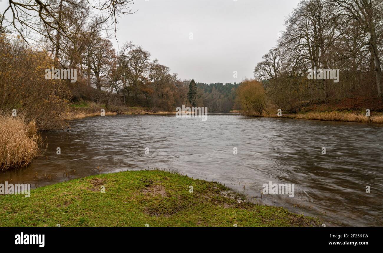 Teviot River on a dull winter's day Stock Photo