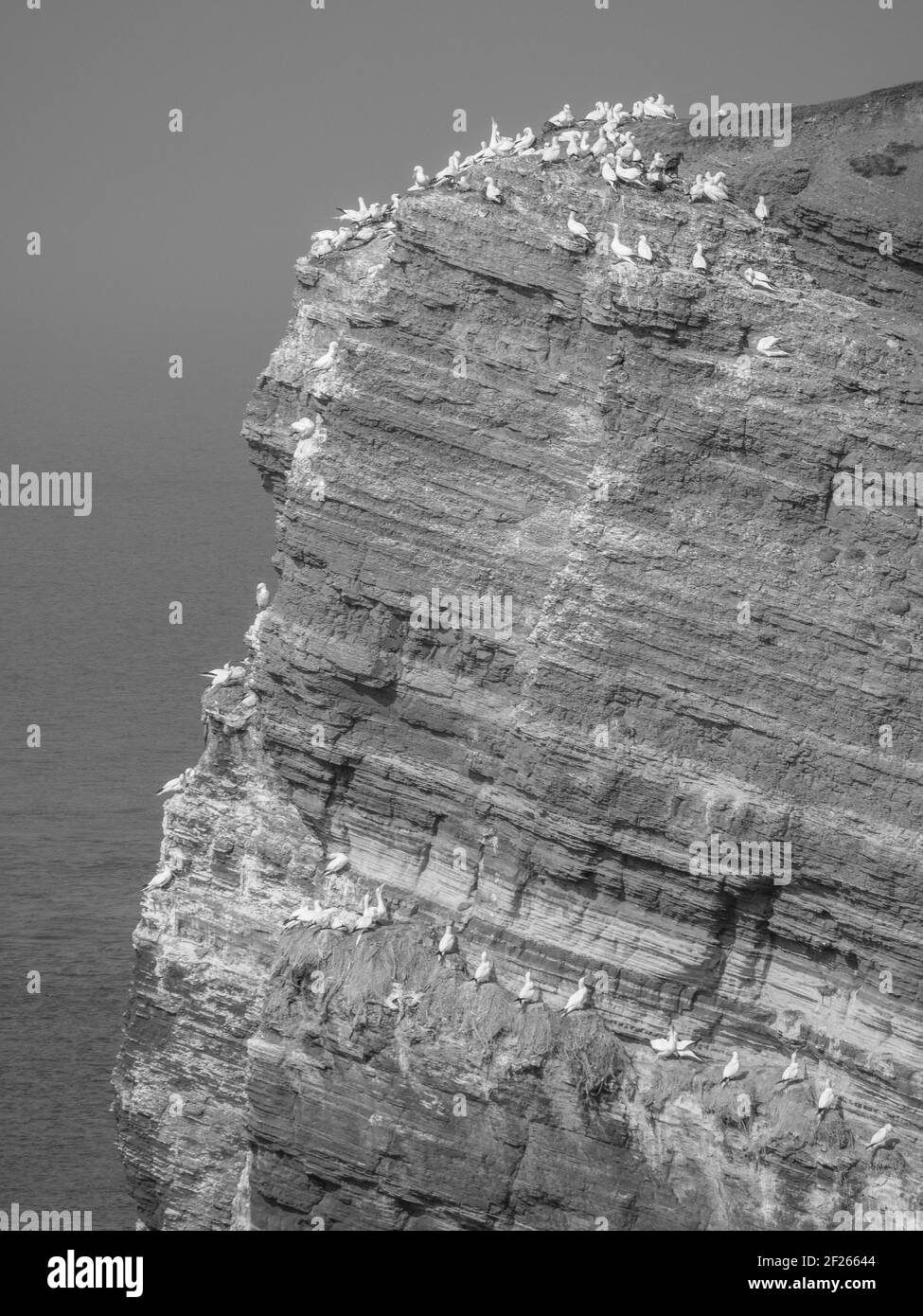 the german island of helgoland Stock Photo Alamy