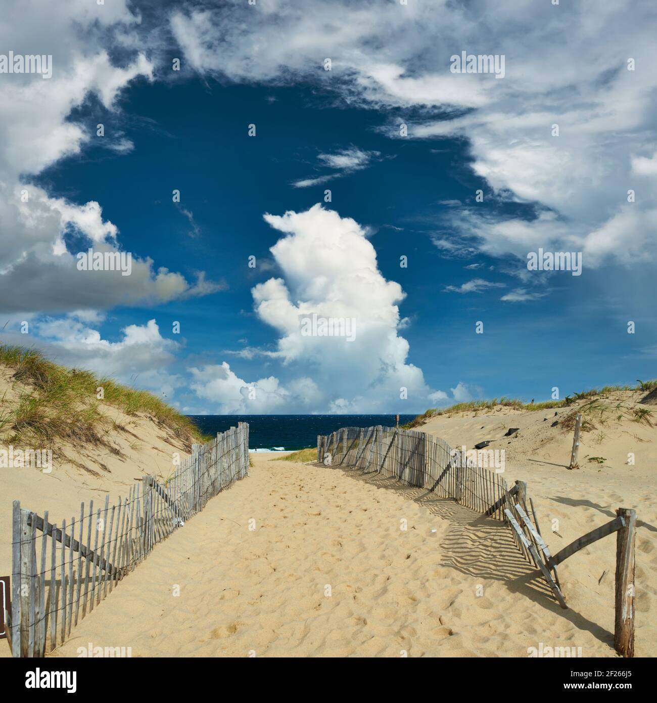 Path way to the beach at Cape Cod Stock Photo - Alamy