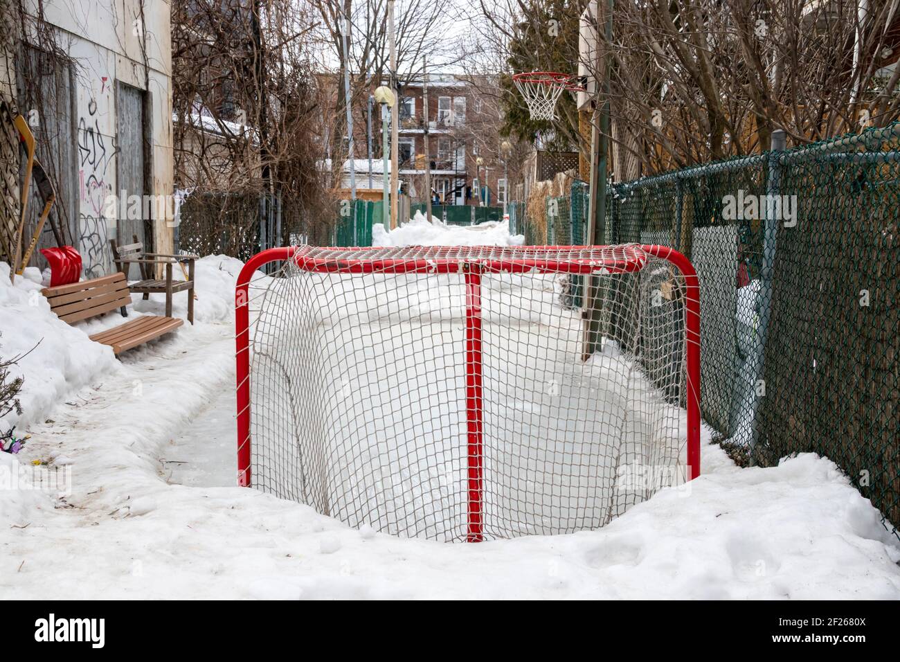 A Hockey goal and homemade small ice ring for kids in a Montreal alley, family neighbors shared game space, local culture Stock Photo