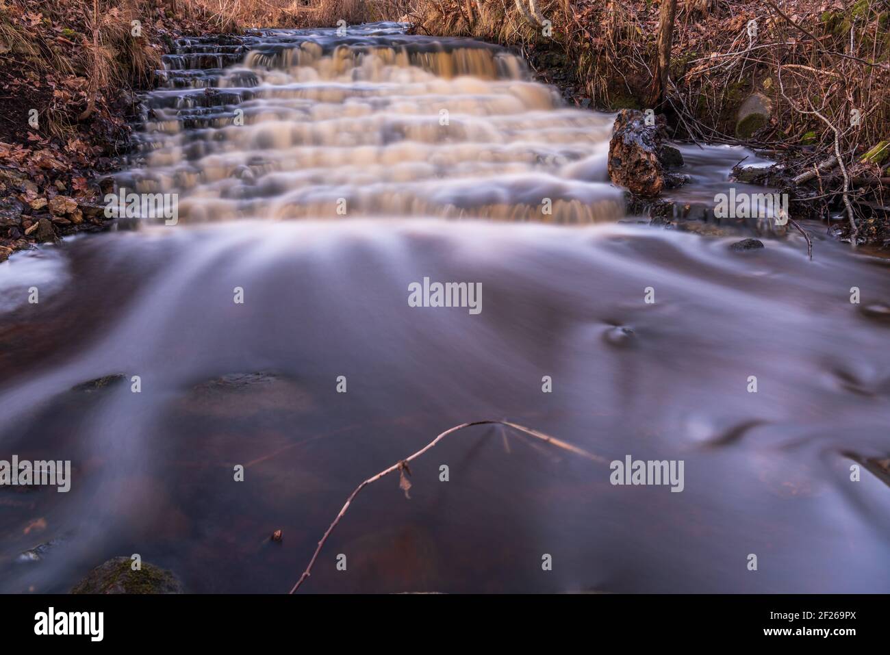 waterfall in several stages and fallen leaves brown but water flow in spring after winter snowmelt Stock Photo
