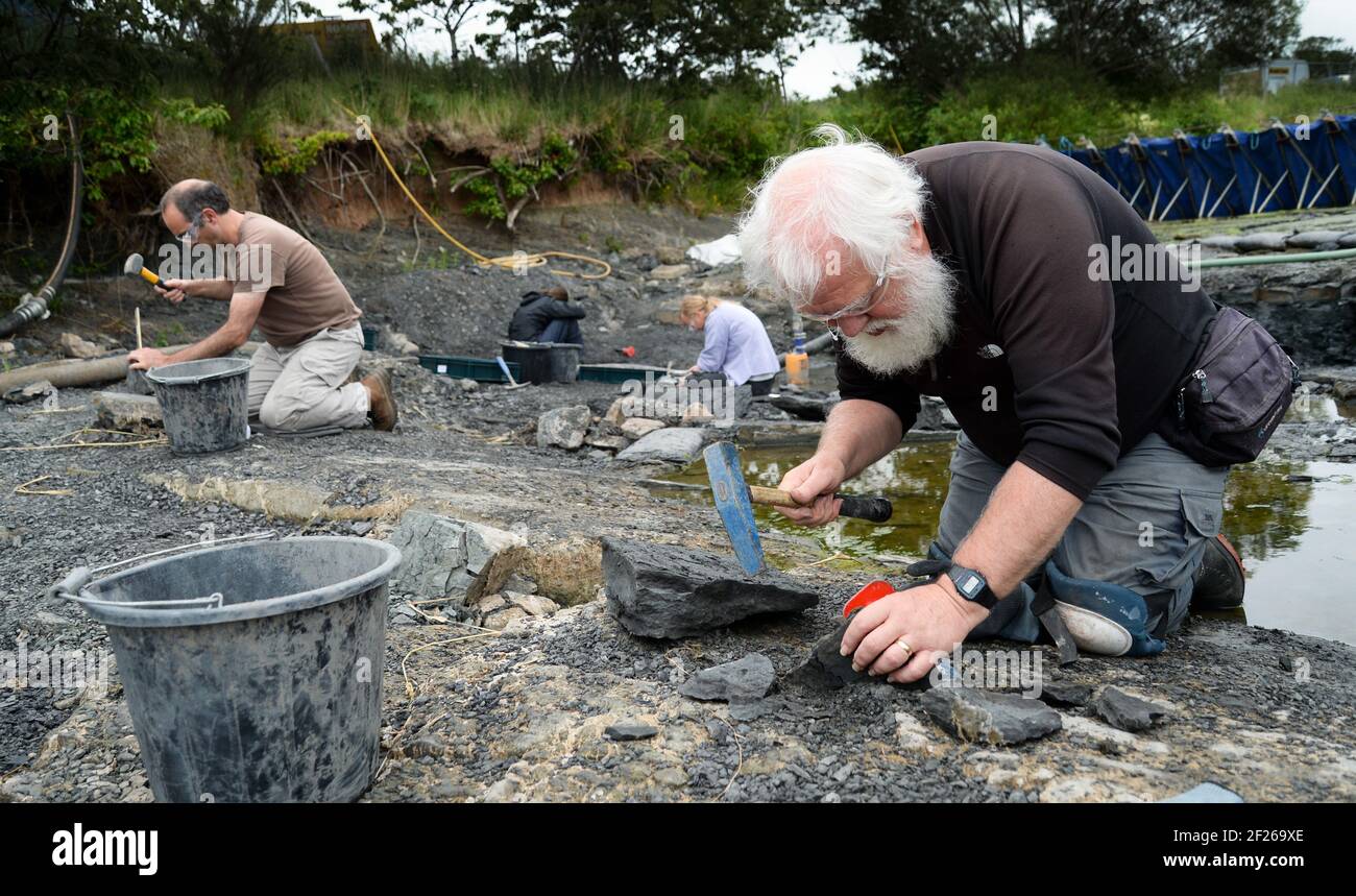 Palaeontologists on the Whiteadder Water near Chirnside in the Scottish Borders Stock Photo