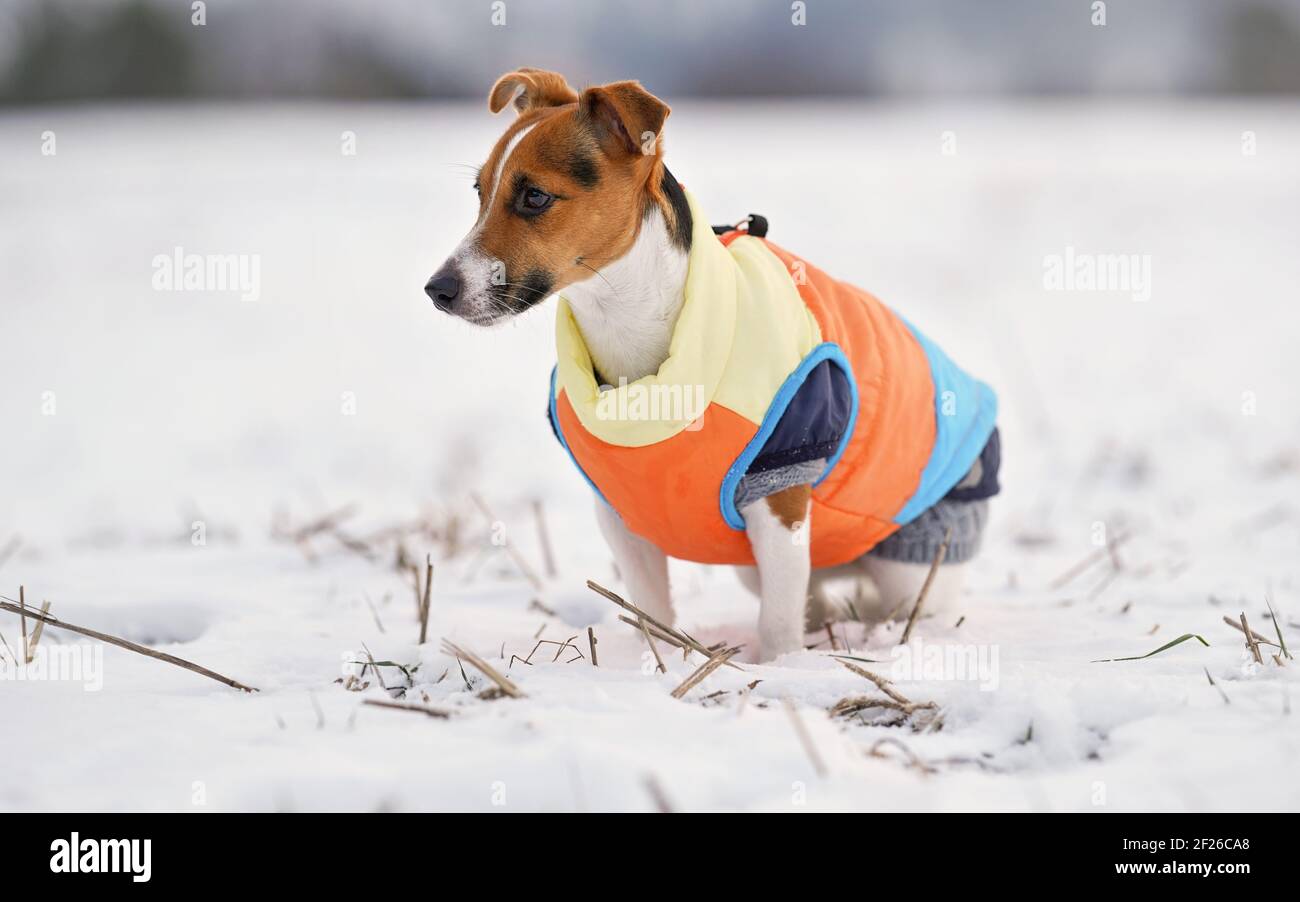 Download Layers Of Clothing High Resolution Stock Photography And Images Alamy