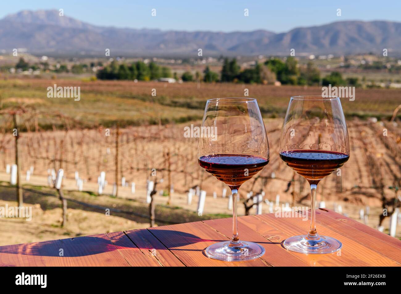 Two glasses of red wine in Valle de Guadalupe, Mexico - prominent winemaking region of the Baja Peninsula, a thriving area for “boutique” wineries. Stock Photo